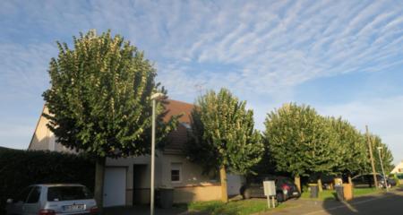 RESIDENCE DE L'EGLISE FRESNOY EN THELLE (250)