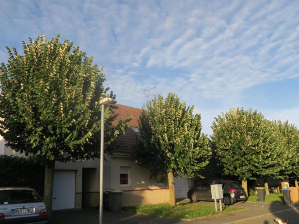 RESIDENCE DE L'EGLISE FRESNOY EN THELLE (250)